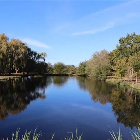 Mobil-home Pmr Avec Terrasse A - Api-1-52-327 مكان تخييم *